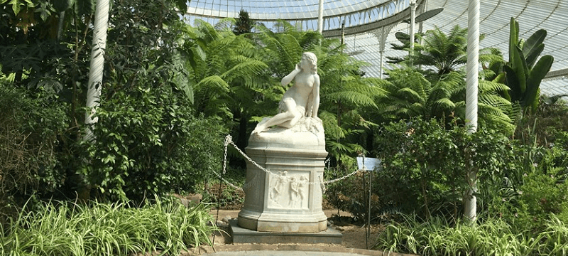 Photo taken in the glasshouse at Glasgow Botanic Gardens.