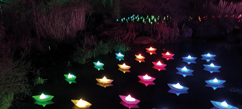 Image of coloured boats floating in the water.