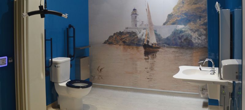 Inside a Changing Places. On the left you can see a privacy screen, a centrally placed toilet with grab rails. On the back wall is a large coastal mural with a boat and lighthouse on it. On the right there is a height adjustable washbasin.