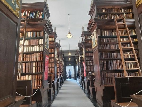 A photograph of the inside of a library with wooden bookshelves to the ceiling and a wooden ladder up the right hand side shelves