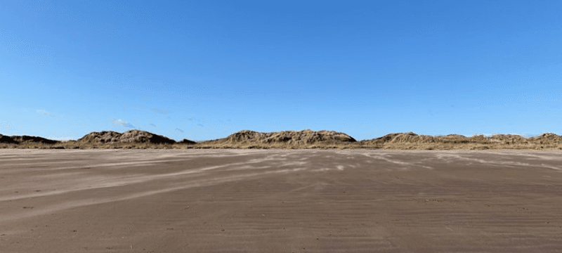 Image of the beach at West Sands Beach
